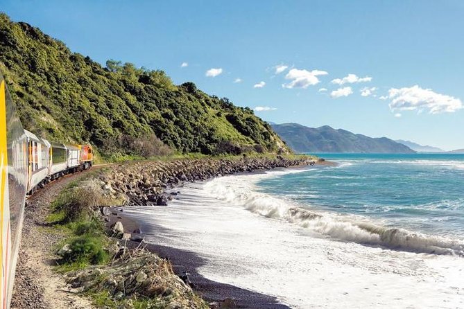 Kaikoura Whale Watch Day Tour from Christchurch including Coastal Pacific Train - Why Kaikoura is such a strong whale-watching spot