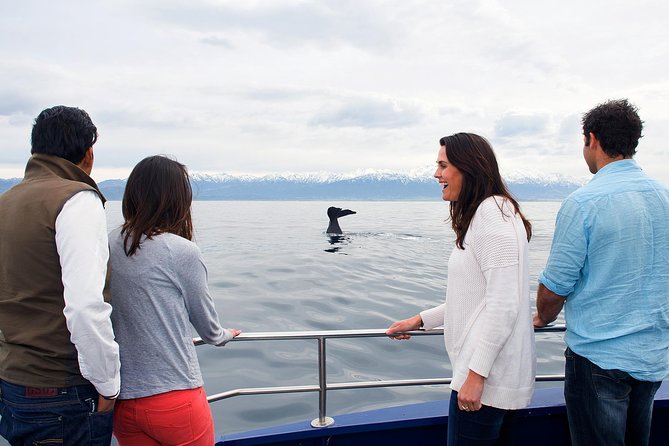 Kaikoura Whale Watch Day Tour from Christchurch - Arriving in Kaikoura and learning the local story