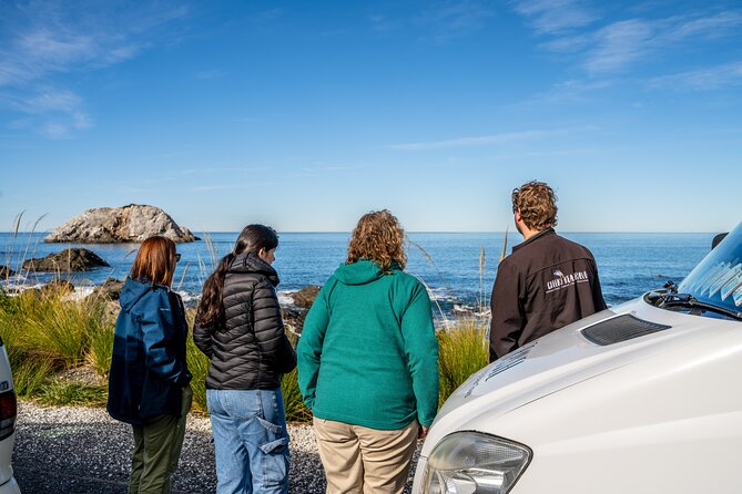 Kaikoura Whale Watch Tour from Christchurch - Small Group - Guides who shape the day