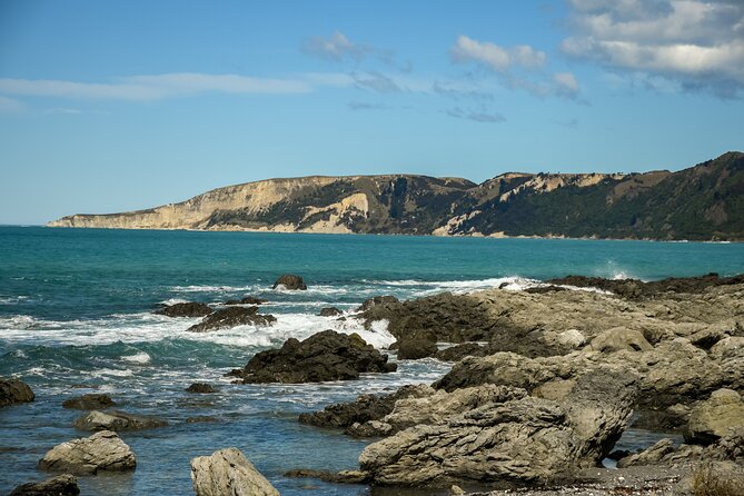 Kaikoura Whale Watch Tour from Christchurch - Small Group - Who will get the most from this tour
