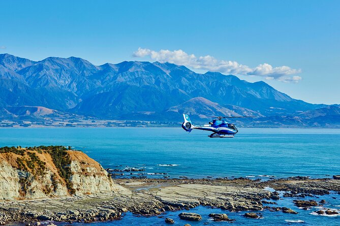 Kaikōura Whale Watching - 1hr 20min Ultimate Adventure - Key points at a glance
