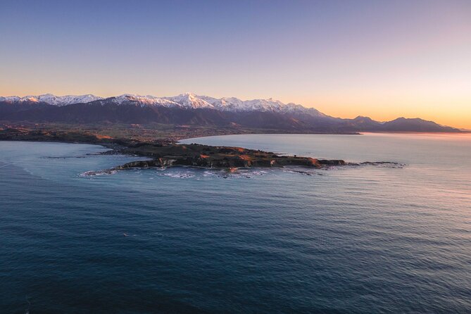 Kaikōura Whale Watching - 1hr 20min Ultimate Adventure - Timing, weather, and practical planning