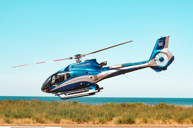 Kaikoura Whale Watching - 45 Minute Ocean Safari - What your pilot adds to the trip