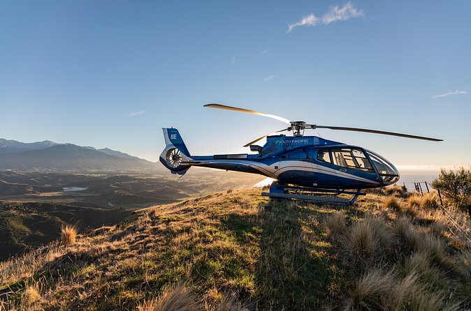 Kaikoura Whale Watching - 45 Minute Ocean Safari - Who will enjoy this Kaikōura helicopter safari?