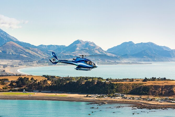 Kaikōura Whale Watching and Scenic Landing - 1hr Premier Tour - Searching the Water for Whales, Dolphins, and Seals