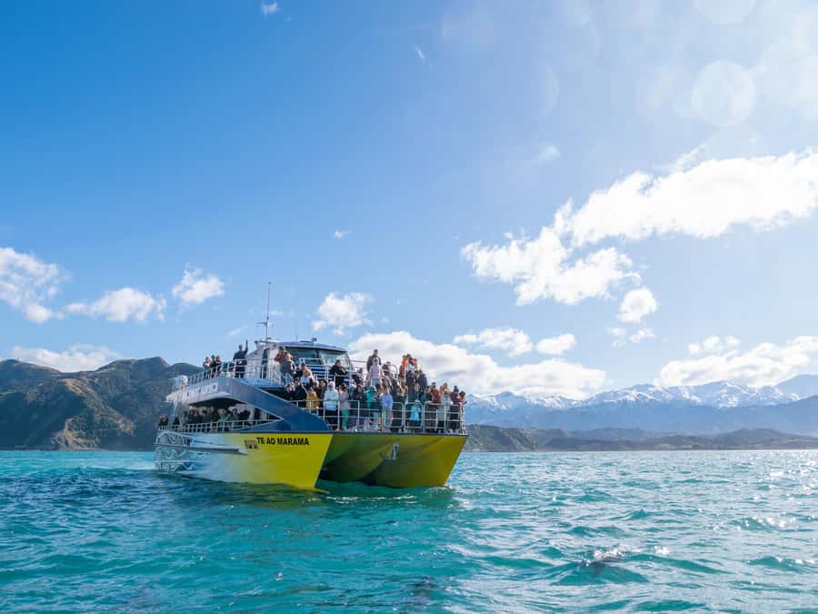 Kaikoura: Whale Watching Cruise - Key points to know before you book