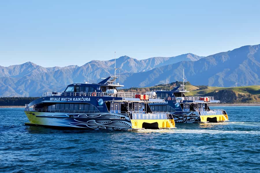 Kaikoura: Whale Watching Cruise - The rough-water question