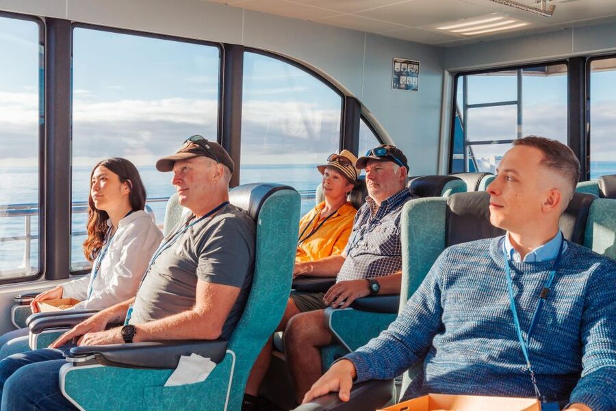 Kaikoura: Whale Watching Cruise - Should you book Whale Watch Kaikōura?