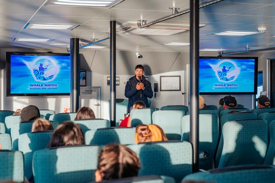 Kaikoura: Whale Watching Cruise - Check-in, the bus ride, and the first look at the vessel