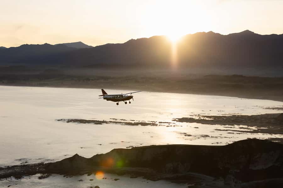 Kaikoura: Whale Watching Flight with Commentary - A window seat for every passenger