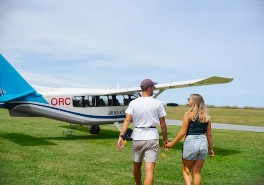 Kaikoura: Whale Watching Flight with Commentary - The return flight is part of the value