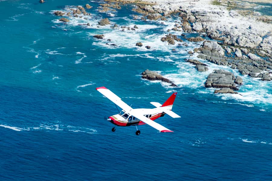 Kaikoura: Whale Watching Flight with Commentary - Who will enjoy this most?