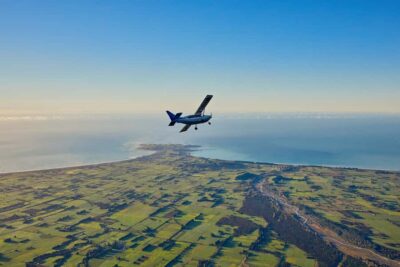 Whale Watching Flight with Guided Commentary