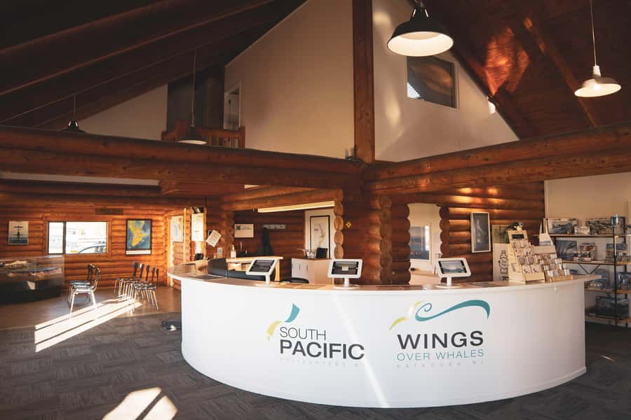 Kaikoura: Whale Watching Flight with Guided Commentary - The whales and dolphins you might see