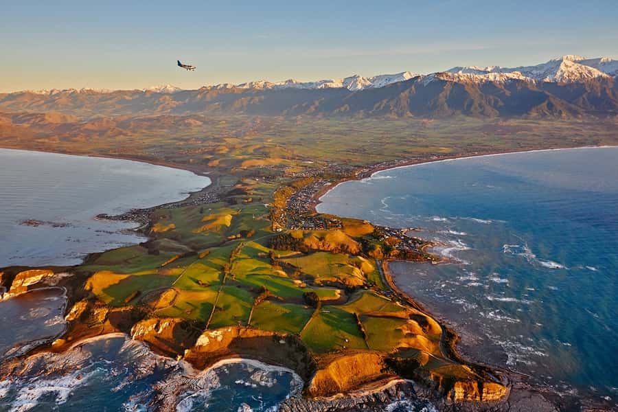 Kaikoura: Whale Watching Flight with Guided Commentary - Price and value at $164