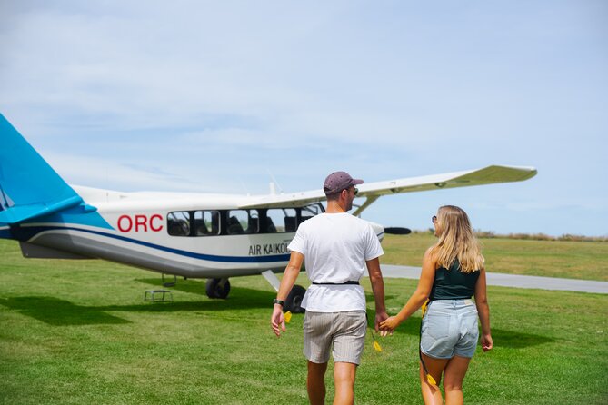 Kaikōura Whale Watching Scenic Flight (40 Minutes) - The pre-flight briefing and whale search