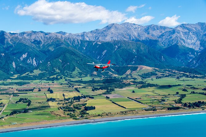 Kaikōura Whale Watching Scenic Flight (40 Minutes) - Who will enjoy this flight most