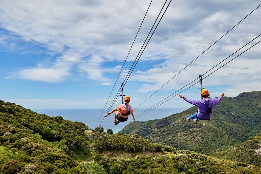 Kaikōura: Zipline and Native Forest Adventure Trip - Key things to know before you book