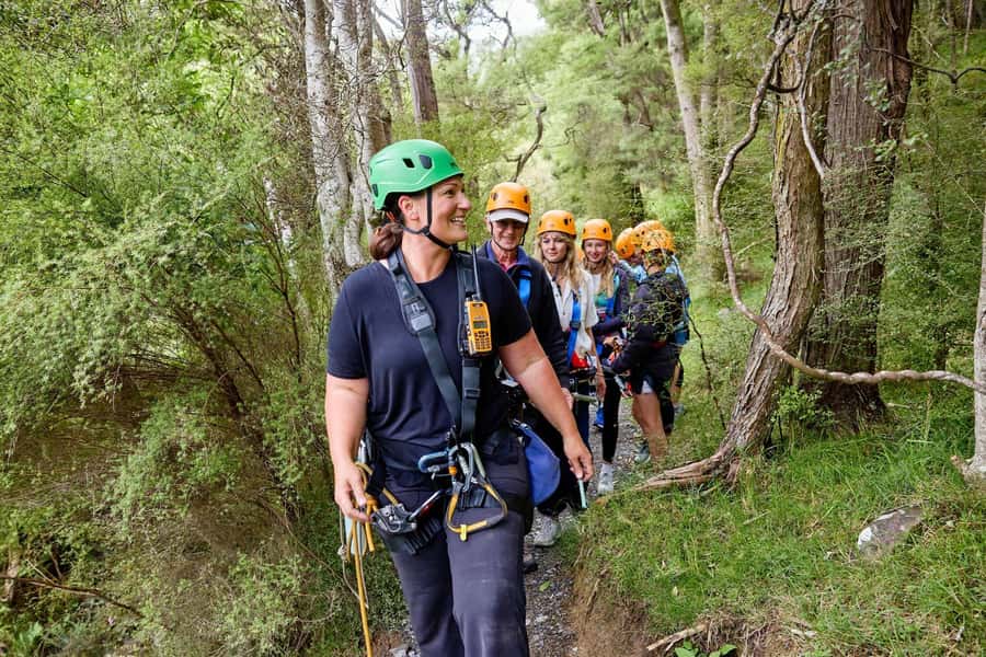 Kaikōura: Zipline and Native Forest Adventure Trip - Should you book EcoZip Kaikōura?