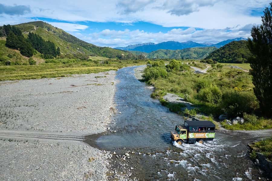 Kaikōura: Zipline and Native Forest Adventure Trip - What the conservation angle adds