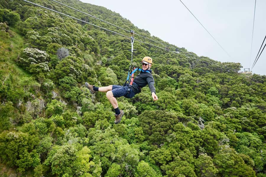 Kaikōura: Zipline and Native Forest Adventure Trip - Weather, clothing, and practical limits