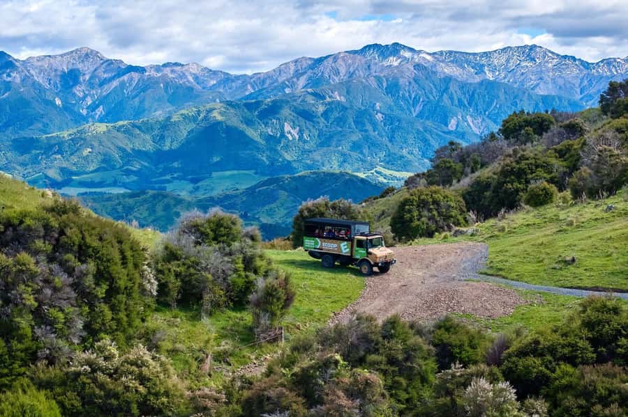 Kaikōura: Zipline and Native Forest Adventure Trip - A short walk through native bush