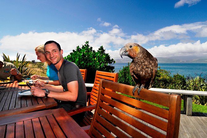 Kapiti Island: Classic Guided Day Tour - Key points to know before you book