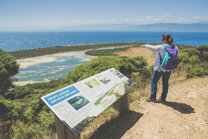 Kapiti Island: Classic Guided Day Tour - Why Kapiti Island feels different from a standard nature tour