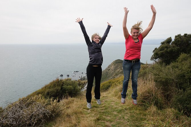 Kapiti Island: Classic Guided Day Tour - The ferry crossing and Waiorua Bay arrival