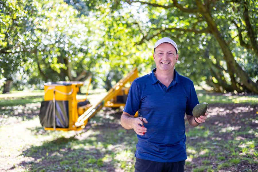 Katikati: Guided Avocado Adventures with Tasty Treats - Walking into Katikati’s avocado country