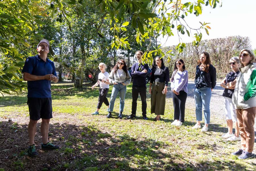 Katikati: Guided Gourmet Avocado Tour - Who will enjoy this Katikati experience