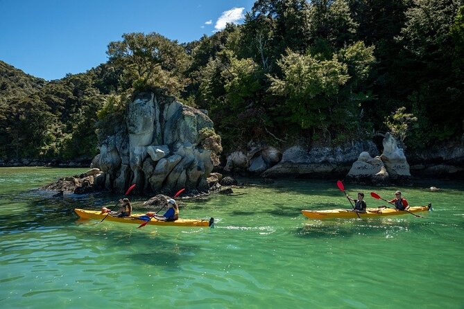 Kayak & Pitt Head Nature Loop - Guided Kayak & Unguided Walk - New Zealand - Who will enjoy this day most