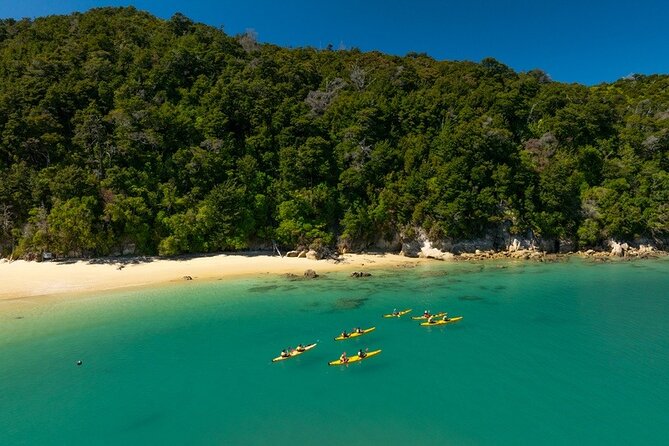 Kayak & Pitt Head Nature Loop - Guided Kayak & Unguided Walk - New Zealand - Weather, fitness and practical preparation