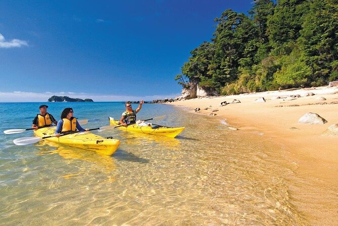 Kayak & Pitt Head Nature Loop - Guided Kayak & Unguided Walk - New Zealand - The water taxi makes the day possible