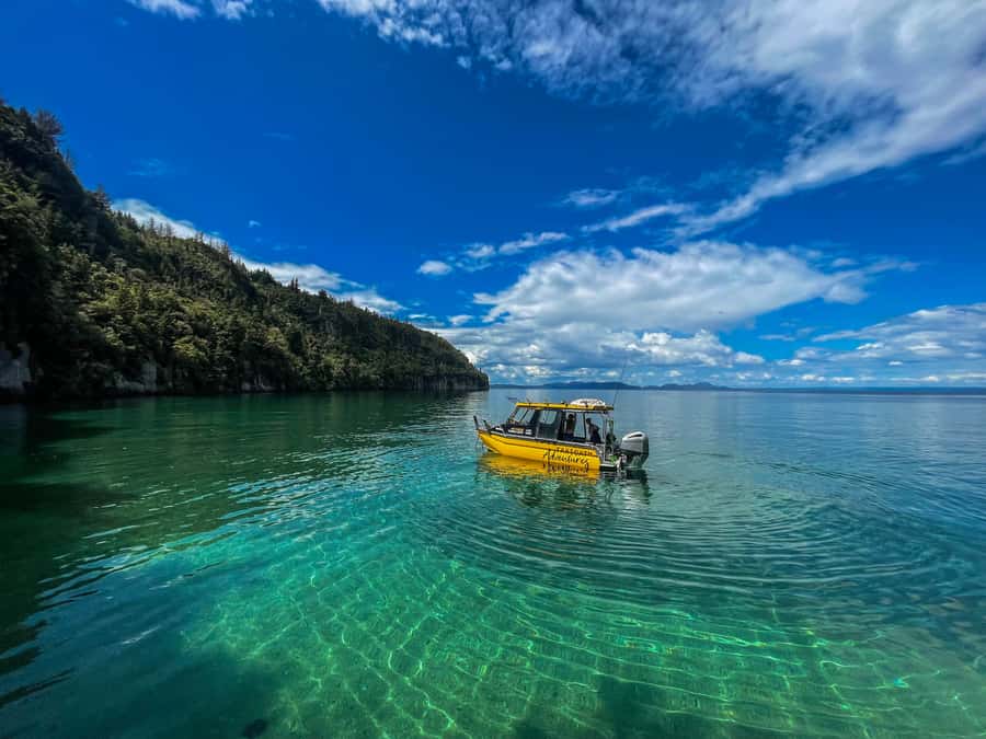 Kinloch: Lake Taupo Catamaran Cruise with Paddleboarding - Key points to know before you book