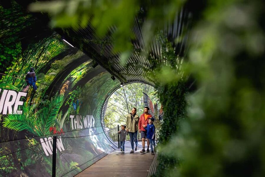 Kiwi Park Admission Ticket - How to plan the kiwi and show times