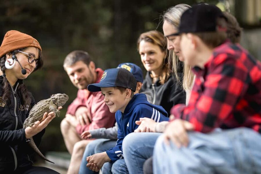 Kiwi Park Admission Ticket - Price, value, and what is included