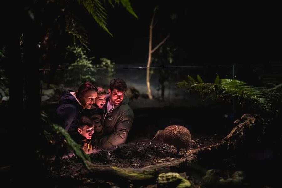 Kiwi Park Admission Ticket - Practical advice before you go