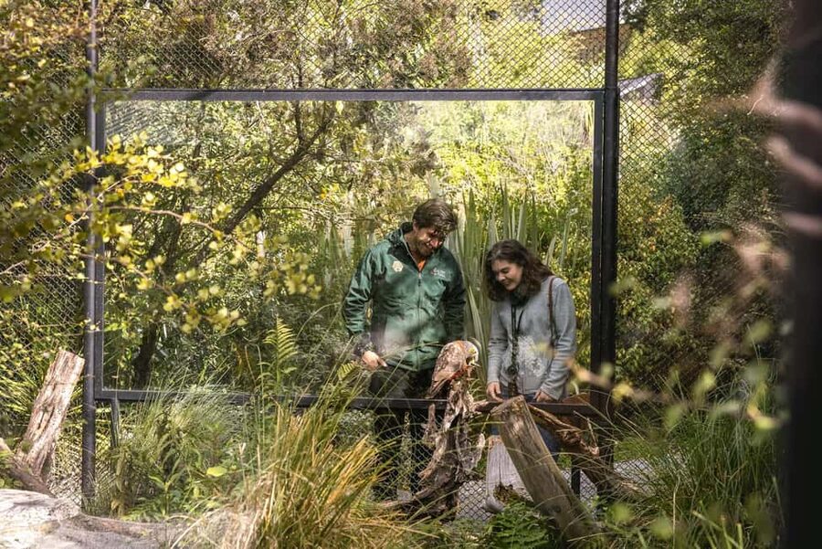 Kiwi Park Admission Ticket - A compact five-acre wildlife park in Queenstown