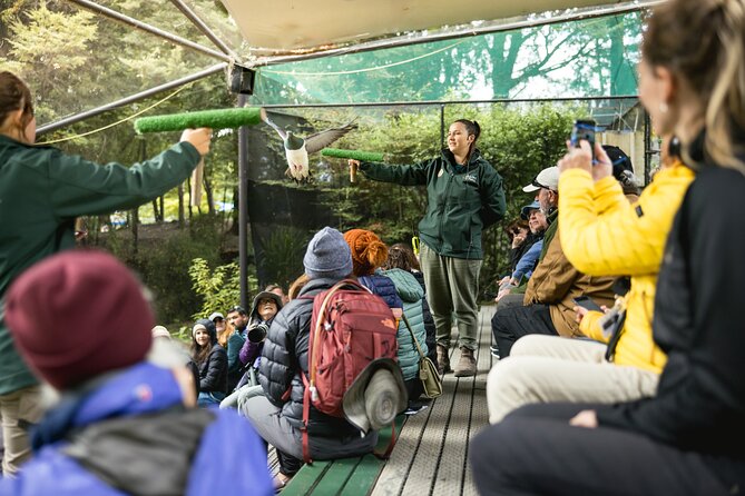 Kiwi Park Queenstown Admission - The Conservation Show puts the park’s work in context