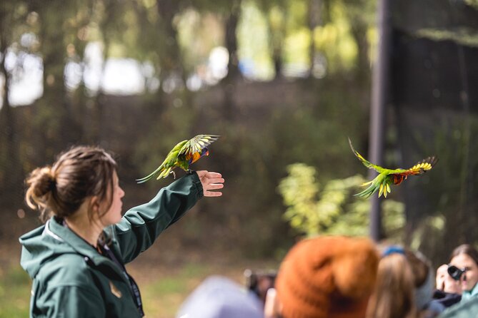 Kiwi Park Queenstown Admission - Tuatara and native birds beyond the kiwi house