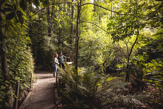 Kiwi Park Queenstown Admission - A short bush walk with a conservation message