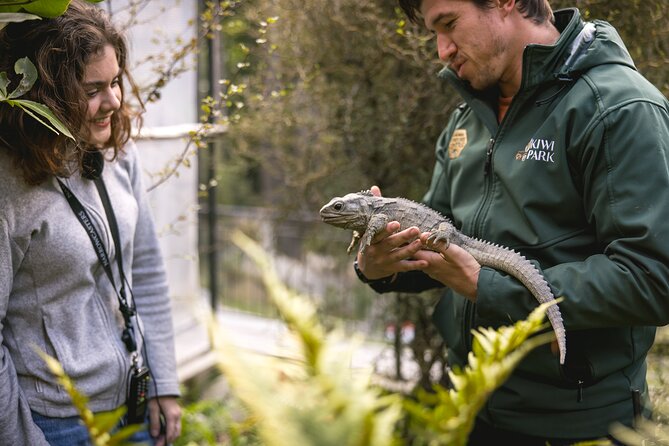 Kiwi Park Queenstown Admission - How much time should you allow?