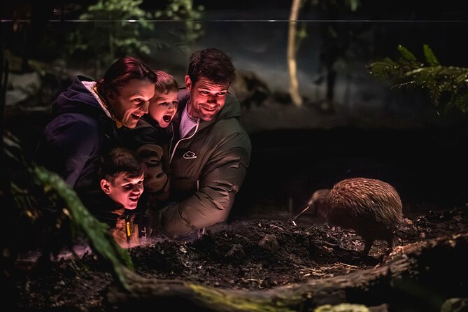 Kiwi Park Queenstown Admission - The Kiwi Encounter: allow your eyes to adjust