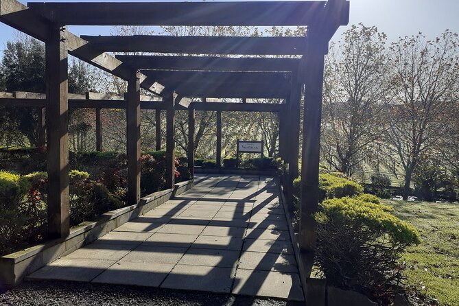 Kumeu Winery Boutique Tour with Gourmet Lunch from Auckland - Why Kumeu works for a short Auckland visit