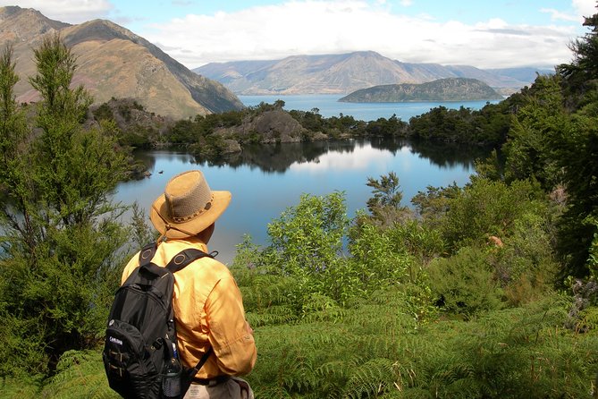 Lake Cruise & Mou Waho Island Nature Walk - Why the second lake is the real prize