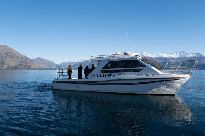 Lake Cruise & Mou Waho Island Nature Walk - Leaving Wānaka Marina by boat