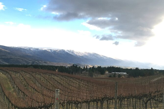 Lake Dunstan Cycleway with E-Bike hire and Shuttle service - Central Otago views, sun, and open country