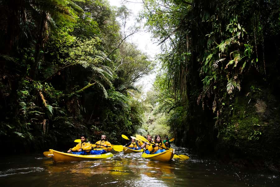 Lake Karapiro: Evening Kayak Glowworm Tour - Why the glowworm canyon is worth your evening
