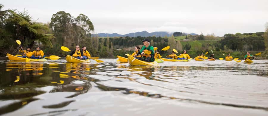 Lake Karapiro: Evening Kayak Glowworm Tour - The history beneath Lake Karapiro
